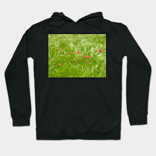 Poppies in Wheat Field Hoodie